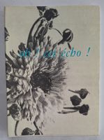 Seltenes Emma Kunz, oh, cet écho! Französisch, 45 artistes