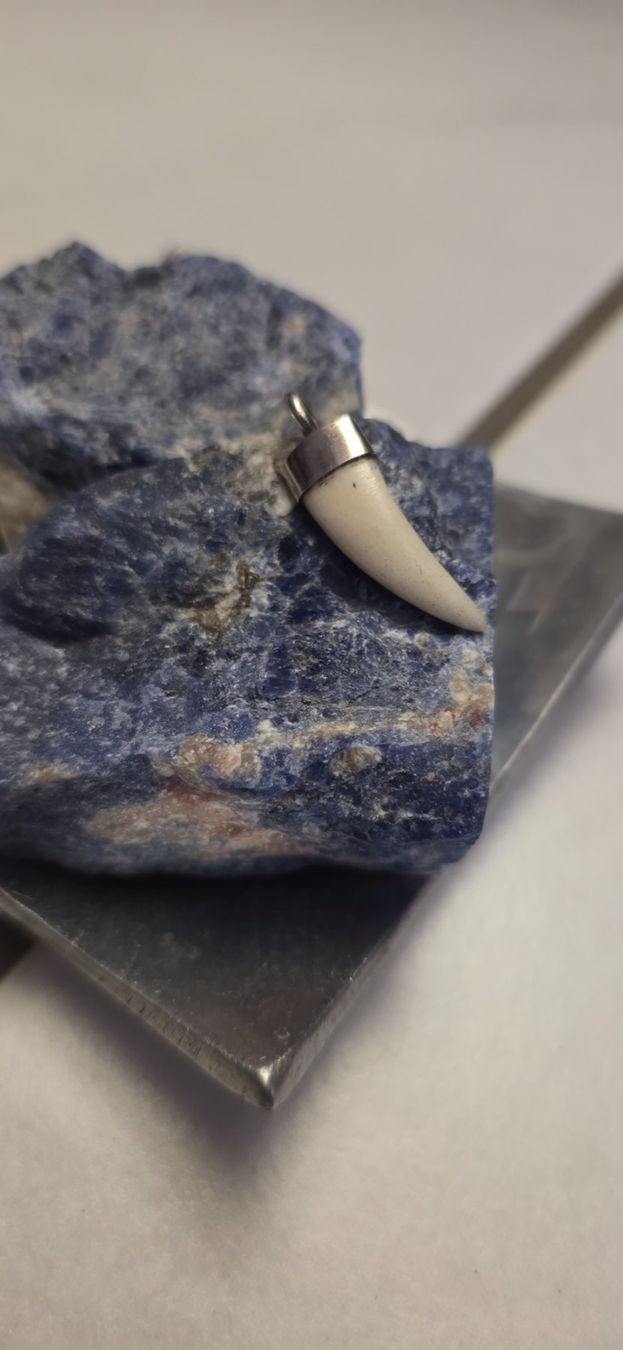 Anhänger: Anhänger Silber 925/Knochen in Zahnform – Neu (gemäss Beschreibung) aus Fislisbach von Eye-Arts 2