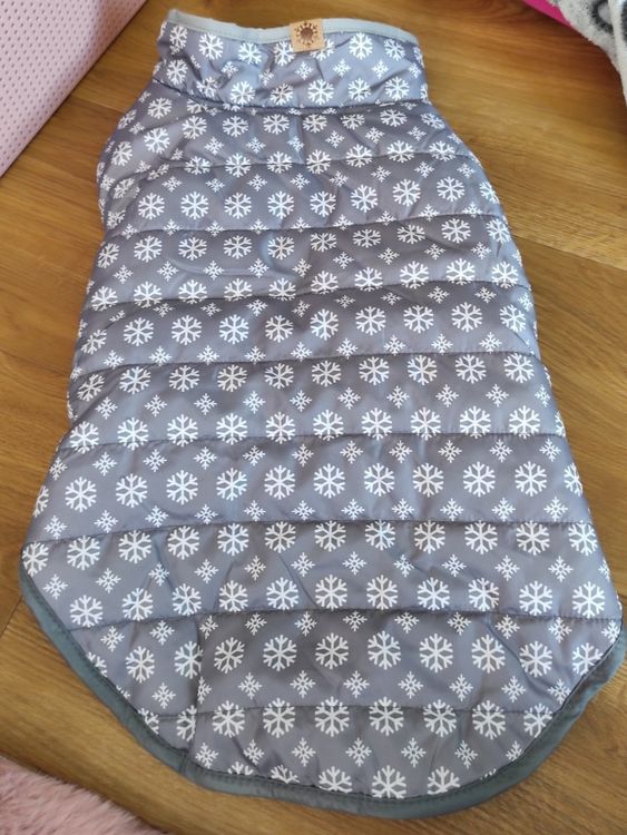 Hunde Kapuzenpulli Wintermantel - Lustiger Frosch Kostüm Grün