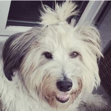 Profile image of yogi_