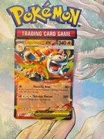 Camerupt ex Mega Double Rare (M. Entwicklung) 022/132