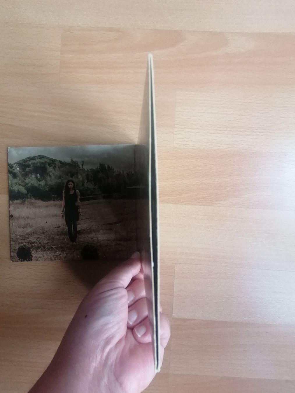 CD: Anna F - King in the Mirror – Usato da Hägendorf venduto da Fiooo 8