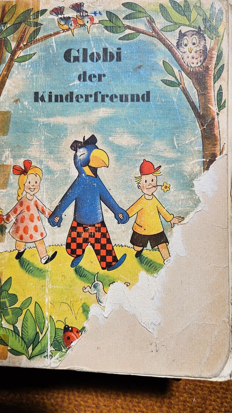Libri: 14 Globi-Bücher, antik – Usato da Suhr venduto da Jensdetlef 2