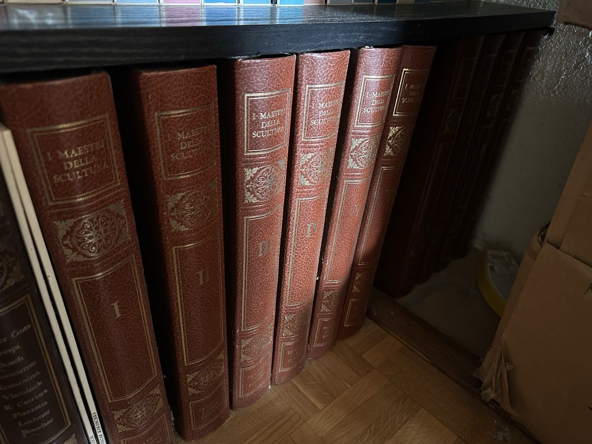 Libri: I maestri del colore / sculpture – Usato da Gy venduto da espace2003 4
