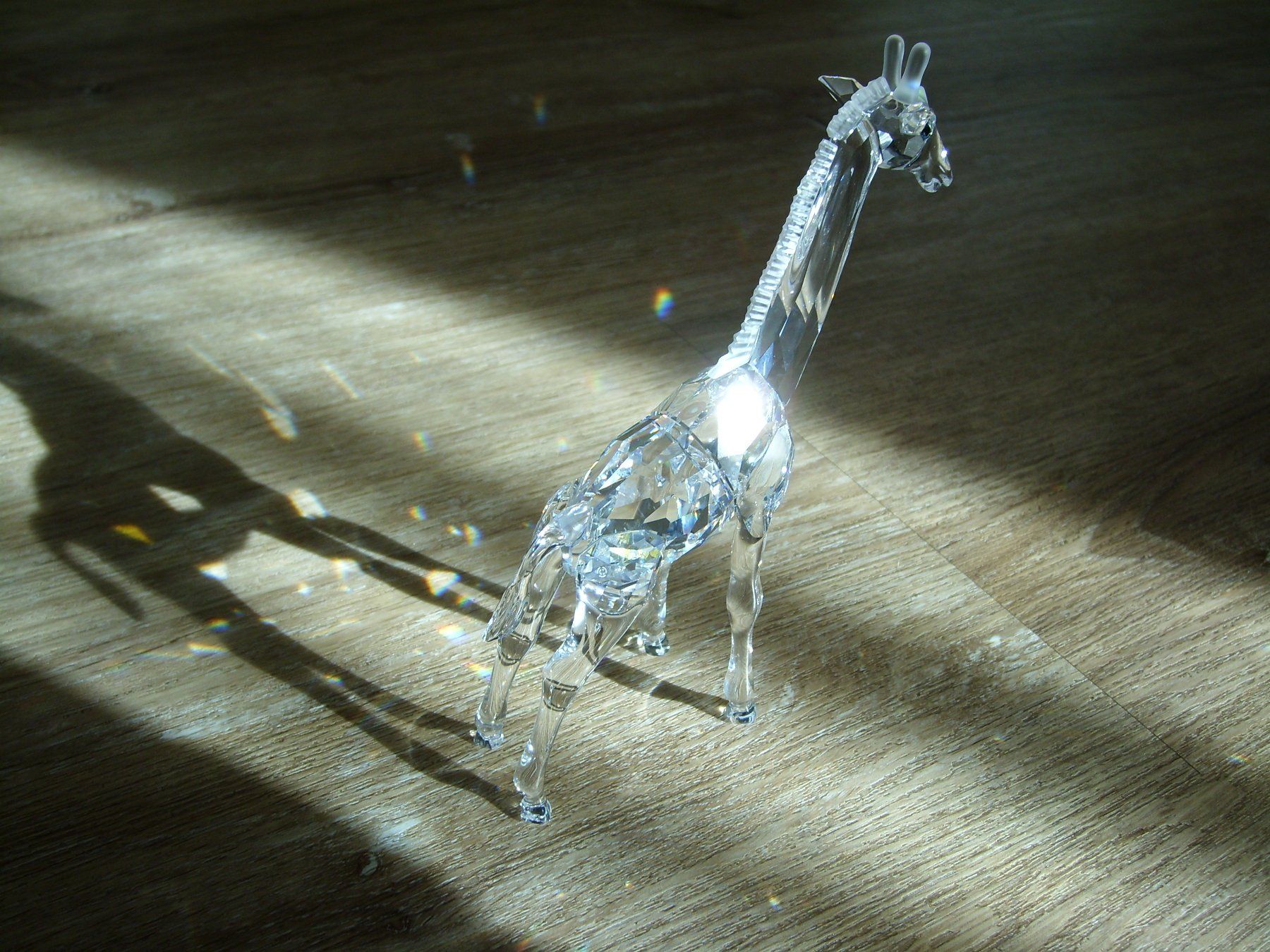 Swarovski Statuette: Swarovski Giraffe – Nuovo (secondo la descrizione) da Thierachern venduto da Shila99 1