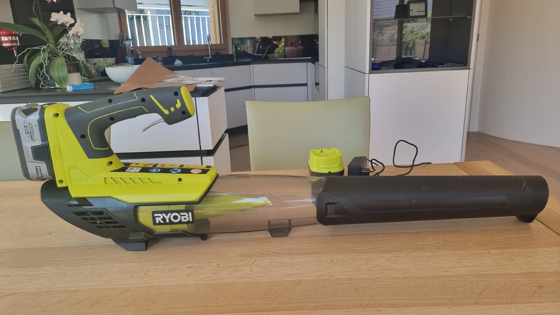 Ryobi Laubbläser & Laubsauger: Laubbläser – Gebraucht aus Bottighofen von buzz02