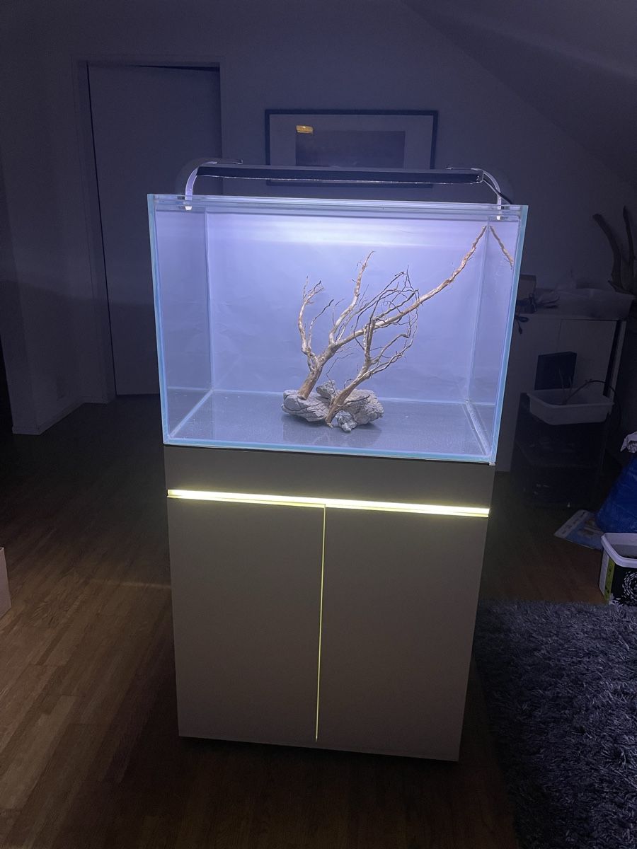 Acquari: Aquarium 140 lt – Usato da Hinwil venduto da ron_t8wh