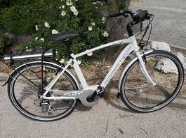 "Das ultimative Herren-E-Bike: Zuverlässig und stilvoll!