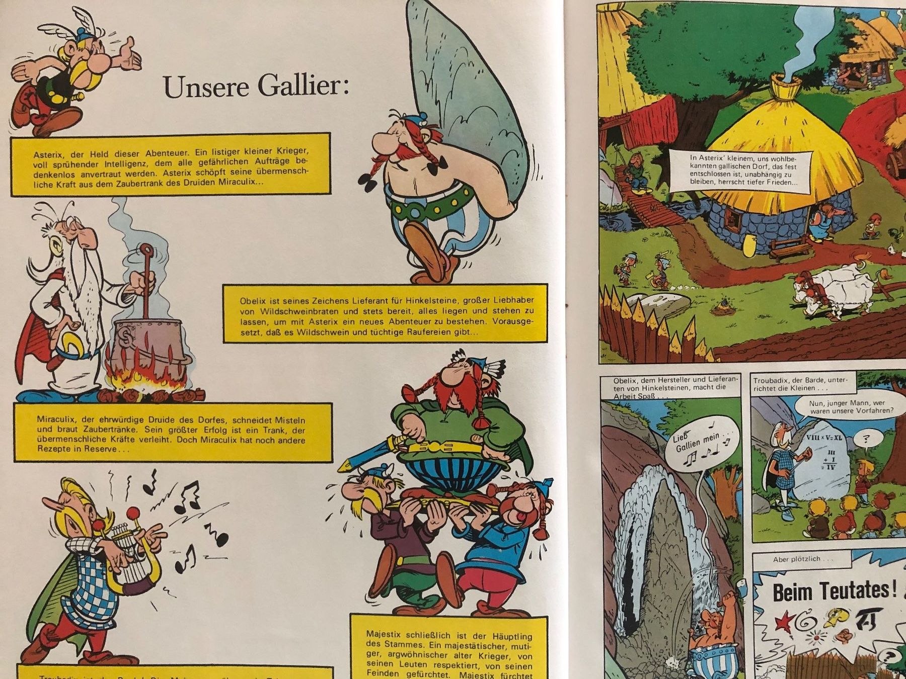 Fumetti: Asterix Die goldene Sichel – Usato da Pfäffikon ZH venduto da Wacardo 2