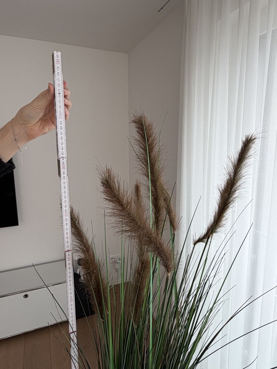 Tutte le decorazioni: Dekoration Schilf mit Vase ca 180cm hoch – Usato da Winterthur venduto da saram26 2