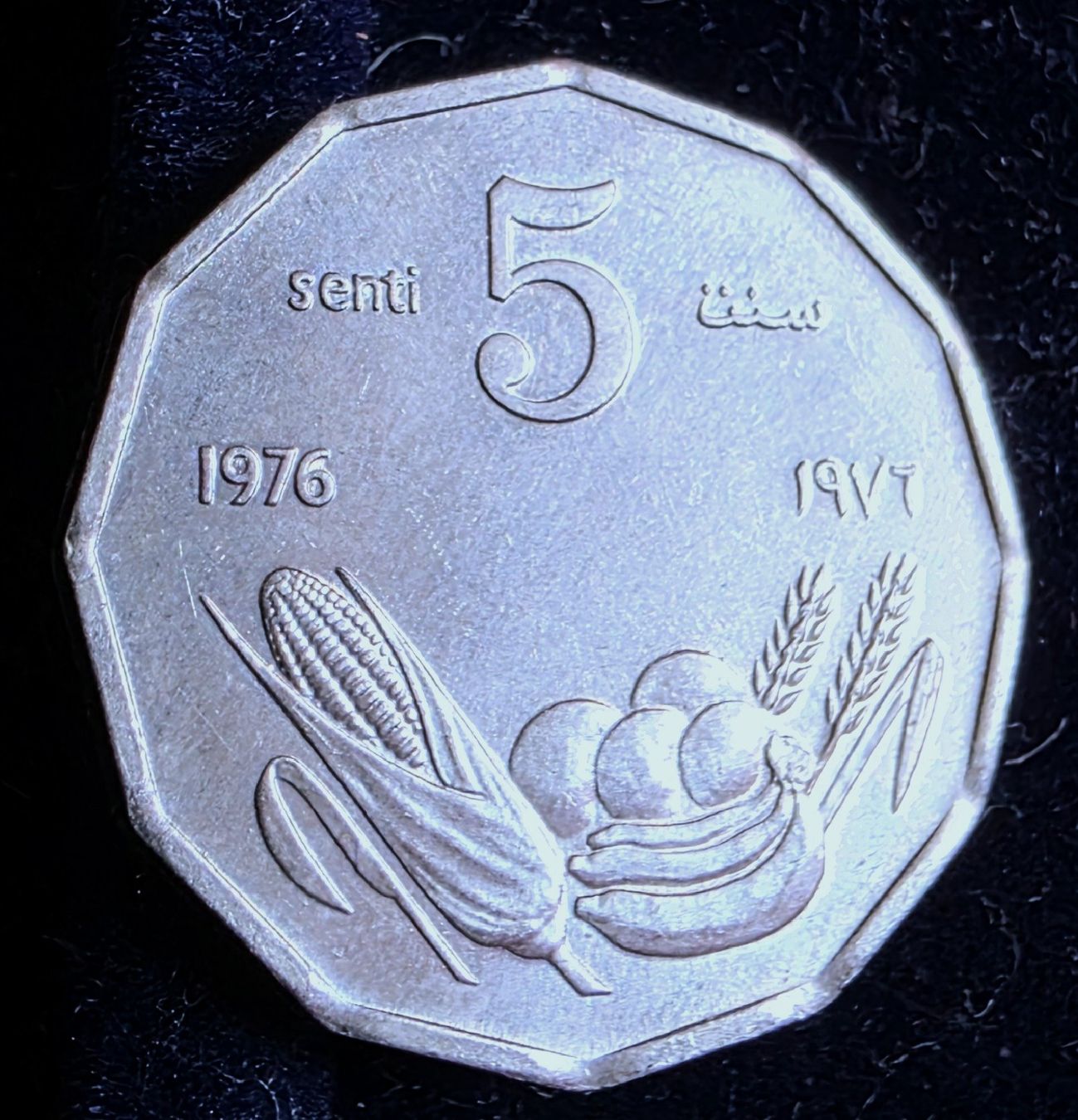 Alle Münzen: SOMALIA 5 SENTI 1976 – Neu (gemäss Beschreibung) aus winterthur von CoinPassion