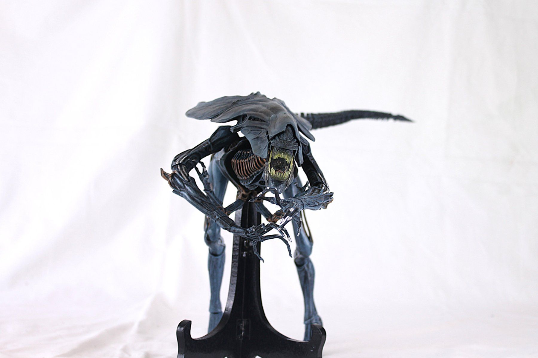 Neca Statuette: NECA blaue Alien Queen – Usato da Reinach BL venduto da bk_brockireinach