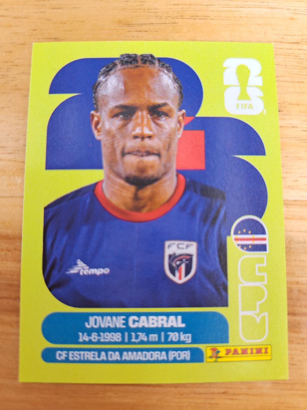 Panini Carte collezionabili: Panini FIFA World Cup CPV 16 – Nuovo (secondo la descrizione) da Waldenburg venduto da Sysilu