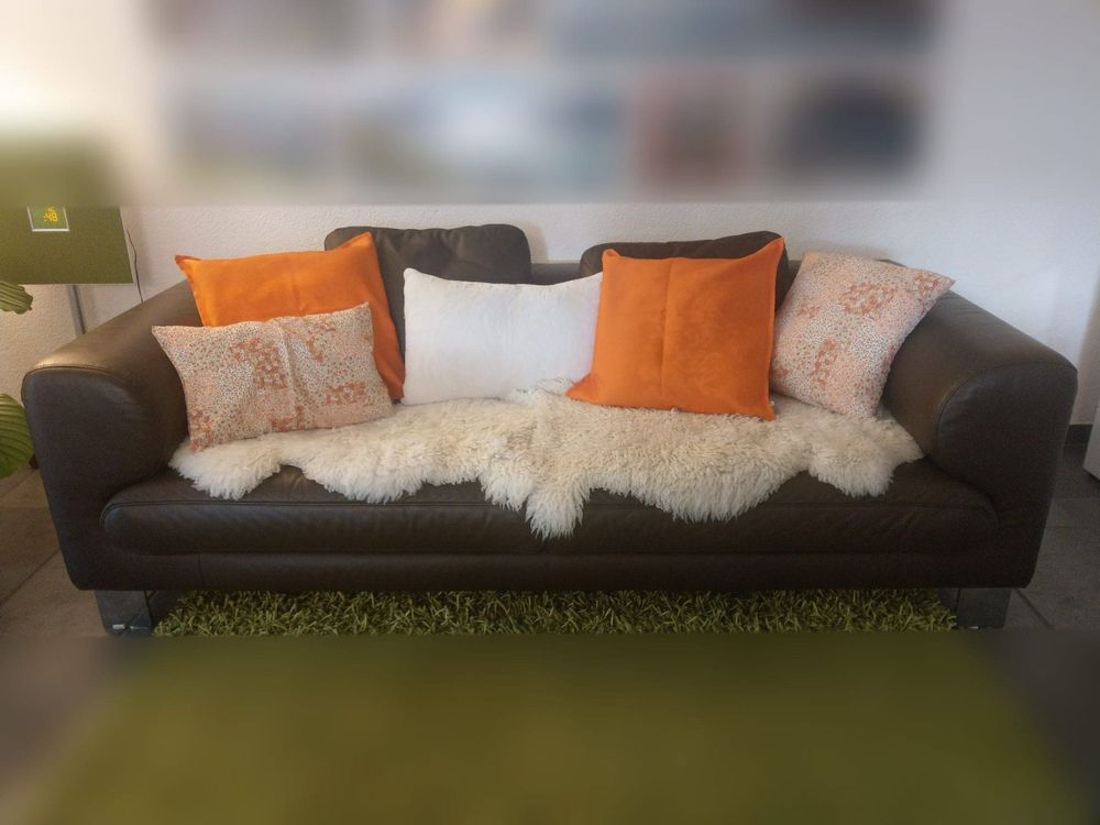 Ledersofa braun, Made in Germany Kaufen auf Ricardo