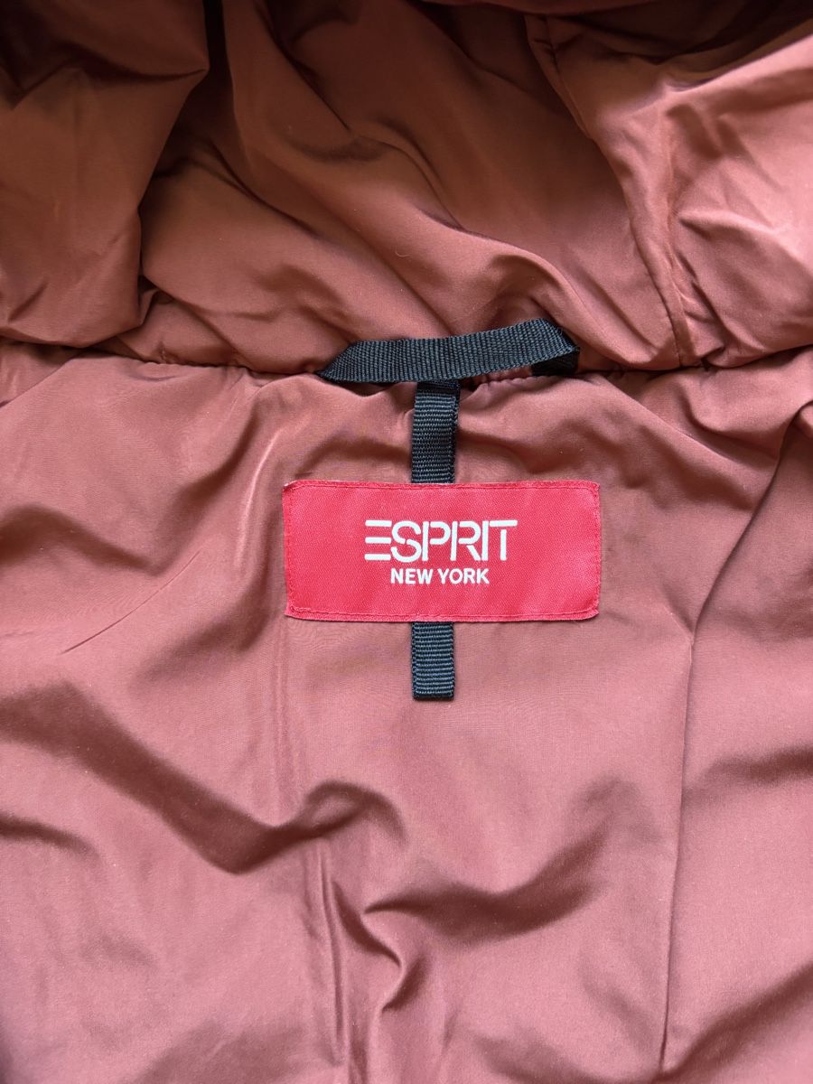 Esprit Gilet & Giacche senza maniche: Gilet rost edc Gr. L – Usato da Gwatt (Thun) venduto da Bioethanol01 2