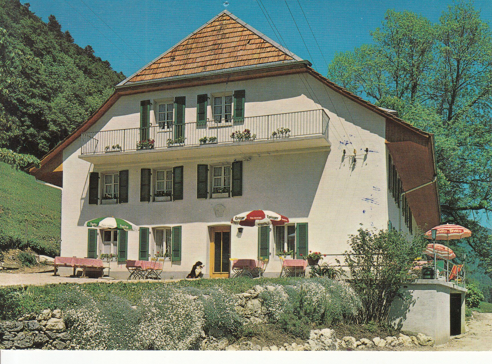 Cartoline postali: Unter-Bürenberg 1986 – Usato da Bürglen TG venduto da StampGraf