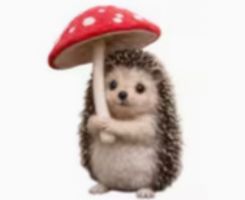 Filzen-Wollfilz-Filzmalerei-Stichinseln-Handgemacht-Igel