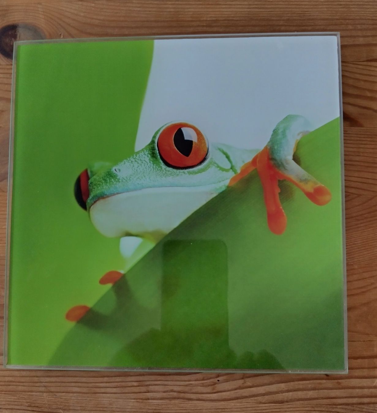 Foto & Immagini: Bild: Exotischer Frosch – Nuovo (secondo la descrizione) da Riehen venduto da Kobi_