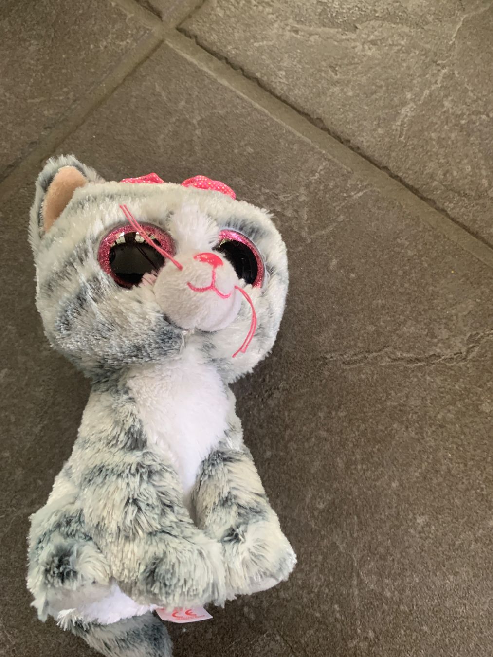 Ty Jouets: Graue Plüschkatze mit grossen Augen – D'occasion à Gossau ZH par Daniela710
