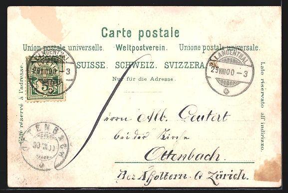 Cartoline postali: Litho Bern, Blick in den Bärengraben – Usato da Berlin venduto da bartko-reher 1