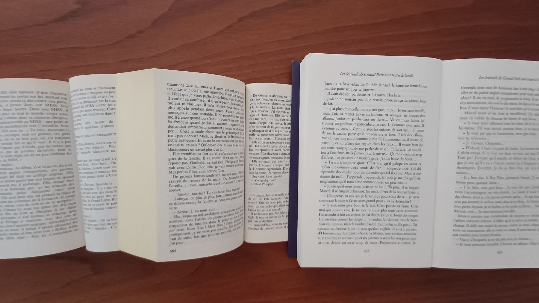 Libri: Trilogie Katherine Pancol – Usato da Genève venduto da njia 2