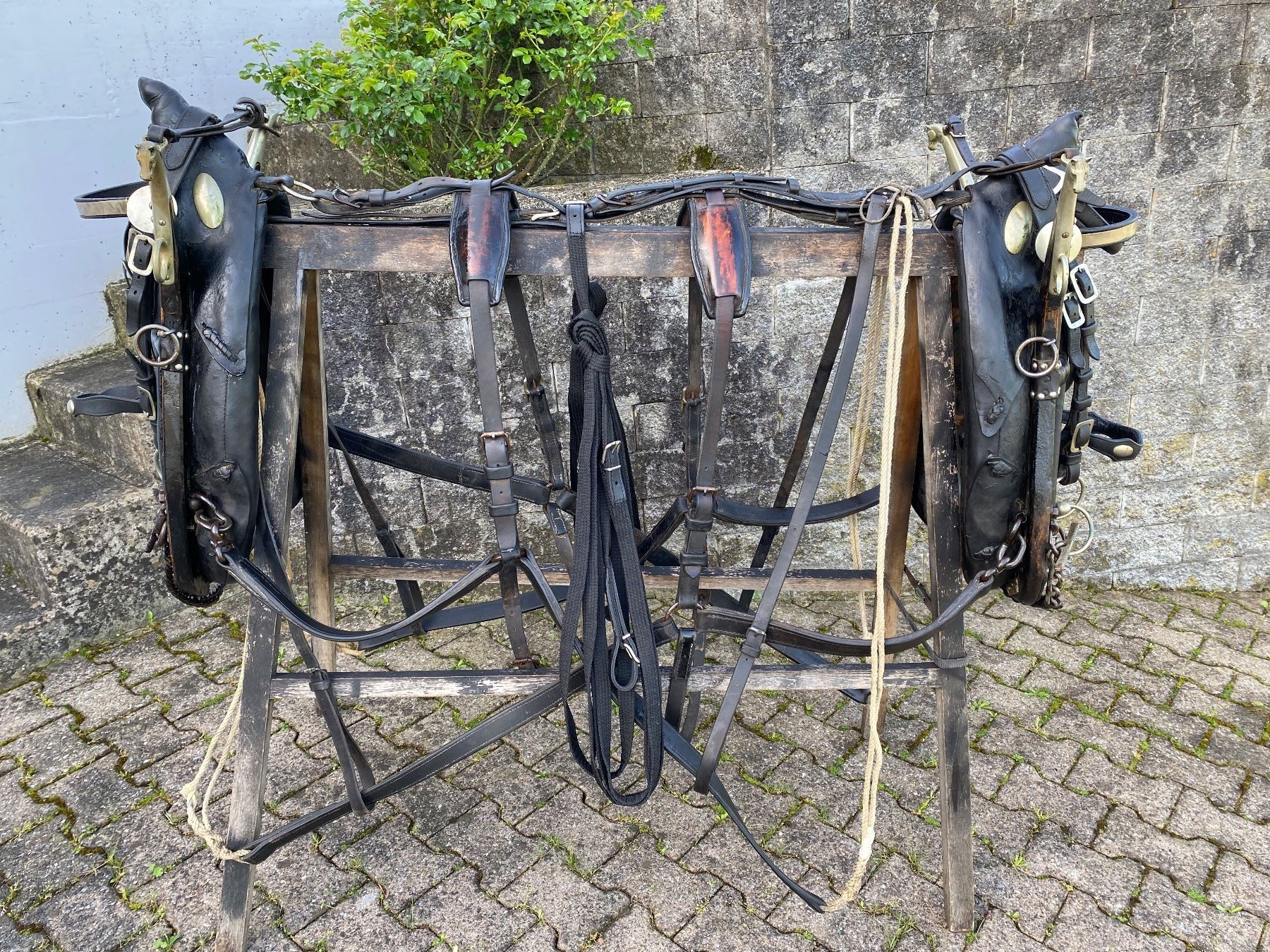 Carrozze: 1 Paar schöne Bündnergeschirre – Usato da Feldbach venduto da Fea1 1