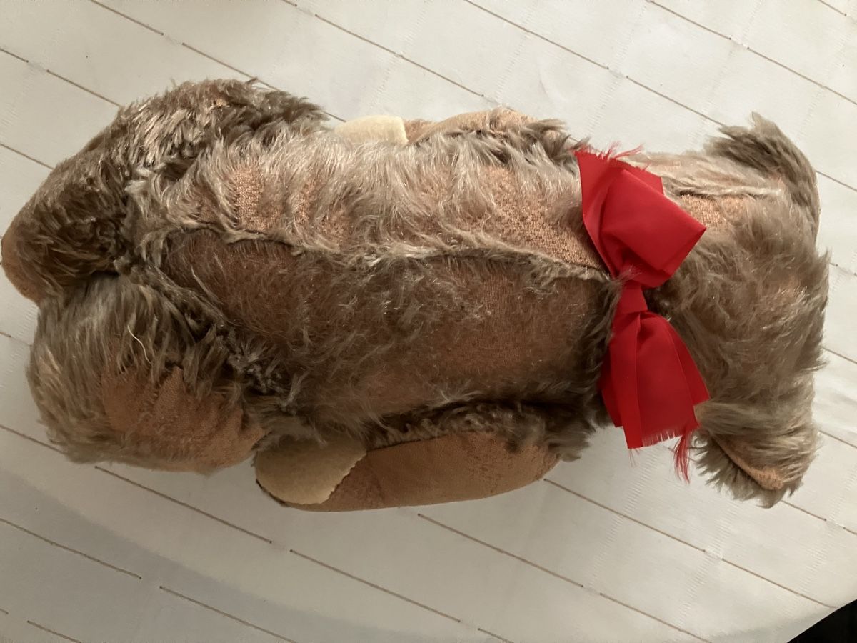 Steiff Bambole: Steiff Teddybär – Usato da Cham venduto da Roger1968 2