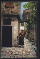 AK Gandria, Dettaglio