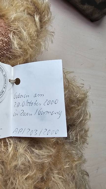 Figuren: KünstlerTeddy von Anja Picorsch  – Gebraucht aus Hunzenschwil von Matthinique 5