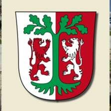 Profile image of MYS-Wallis2020