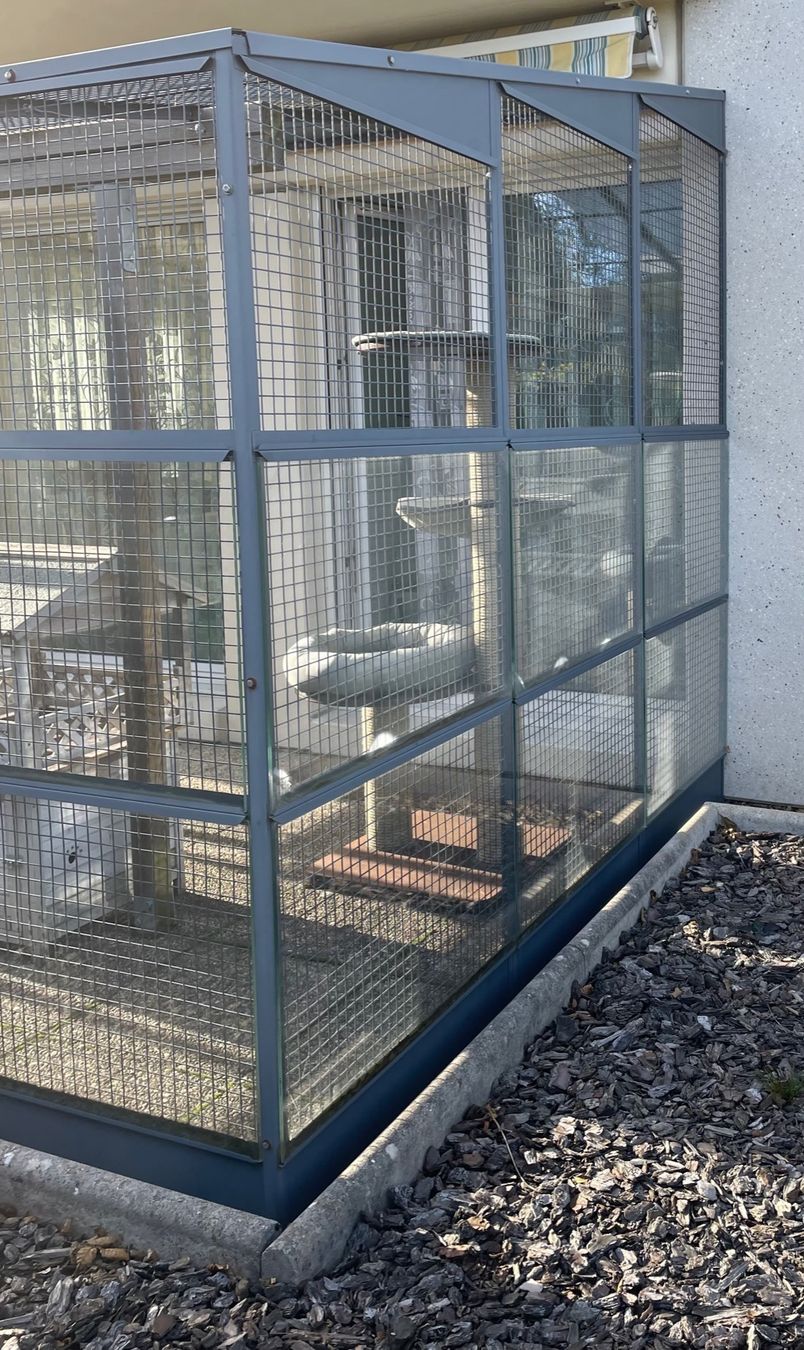 Gabbie, trasporto & Sicurezza: Volière/enclos de qualité, idéale pour chats – Usato da Gals venduto da mf456 3