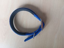 Blaues Hundehalsband, gepolstert, Grösse M/L
