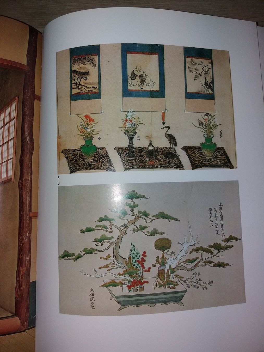 Libri: FASZINATION Ikebana japan – Usato da Welschenrohr venduto da Regool 6