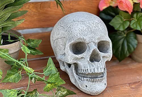 Skulpturen & Statuen: Gartenskulptur Gartenfigur Schädel crâne sculpture – Neu und originalverpackt aus Lopagno von CLep 1