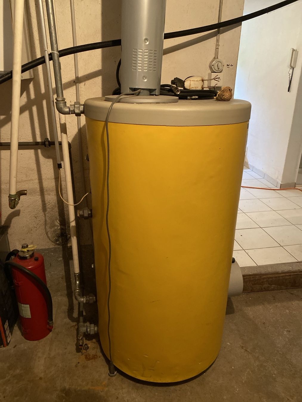 Sanitari: Reflex SF 300 Boiler, 43kW – Difettoso da Windlach venduto da flyingfalcon 3