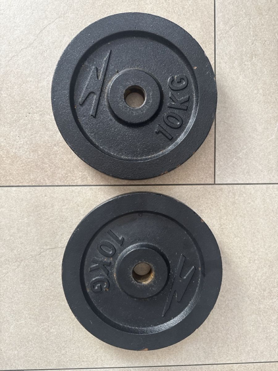 Manubri & Pesi: Dischi 10kg – Usato da Pregassona venduto da pie_vq8m