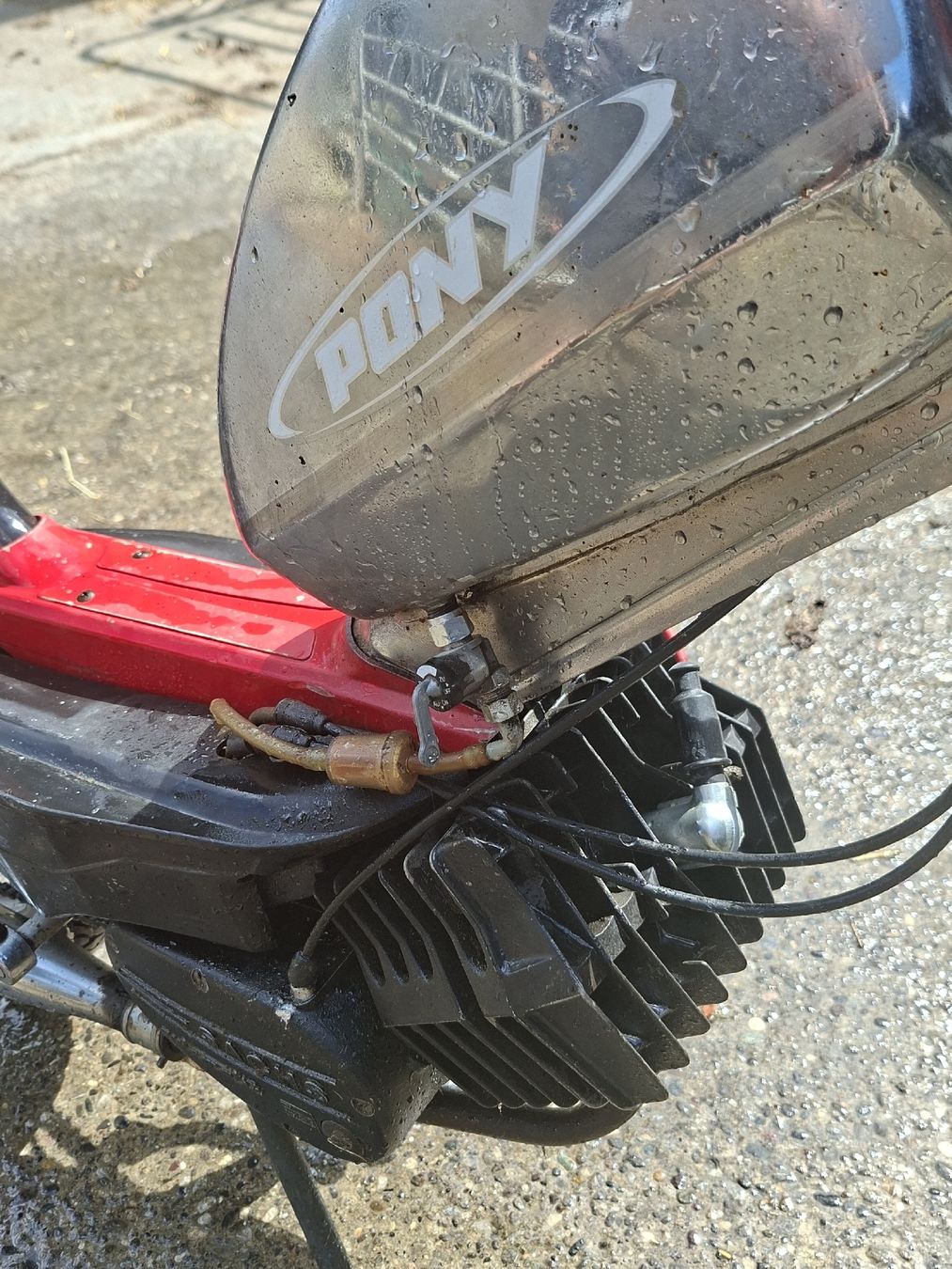 Pony Mofas: Töffli Pony Sachs – Gebraucht aus Bretzwil von AnnenHolz 4