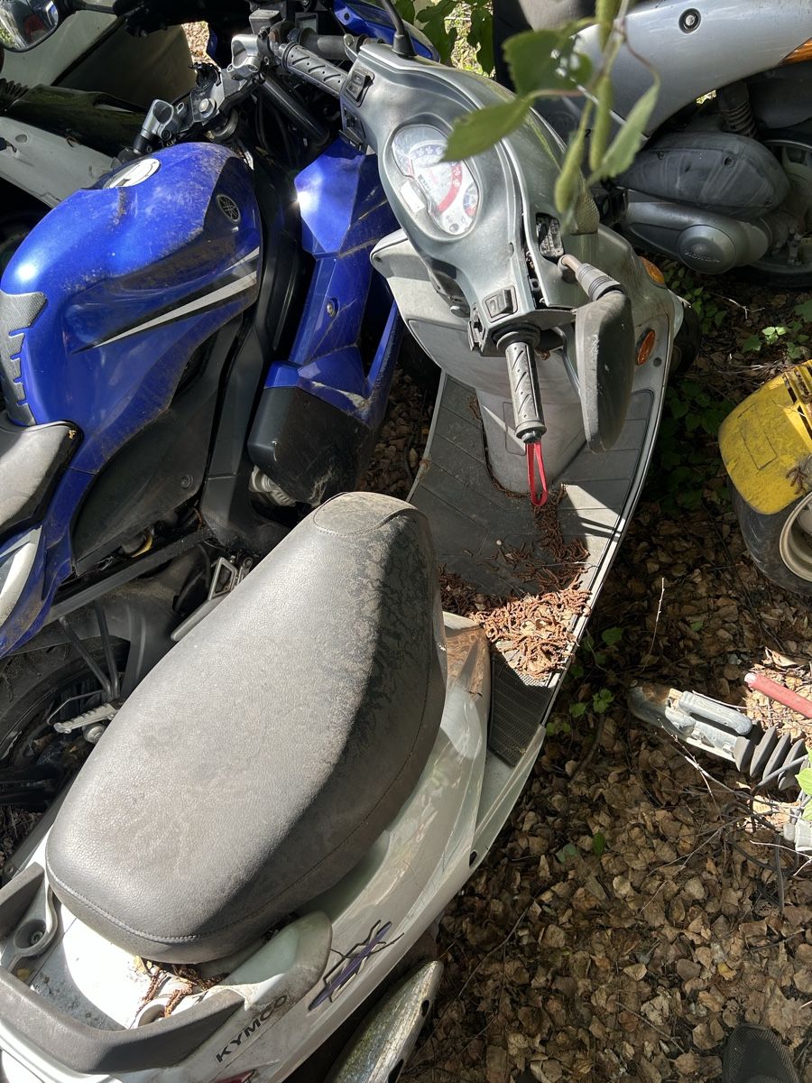 Kymco Scooter: Kymco ZX50 – Difettoso da Haldenstein venduto da albert94 2