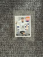 Extra stickers - Valverde Silver 