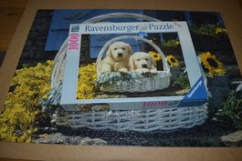 Puzzle 1000 Teile - Hundebabys im Körbchen