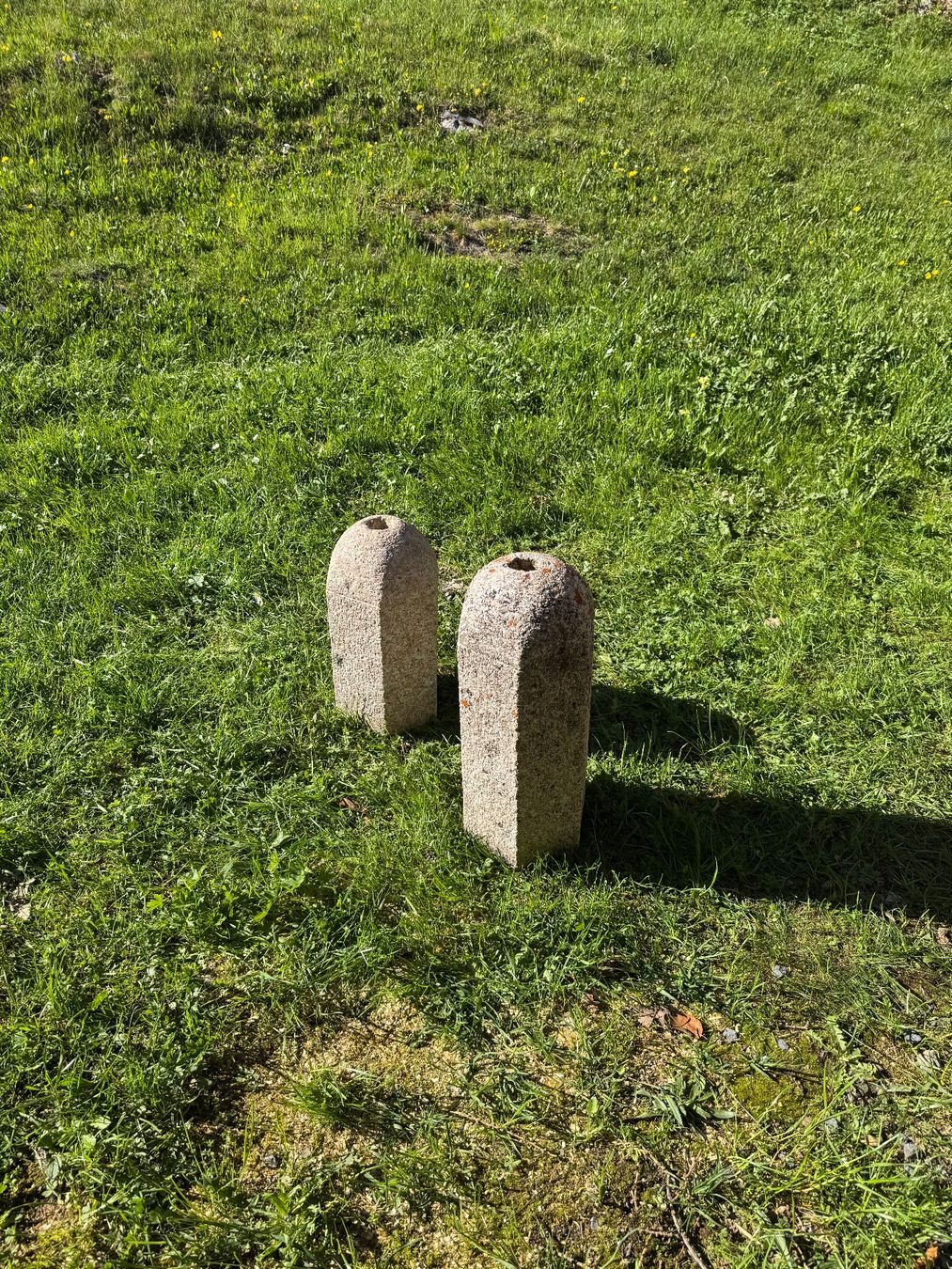 Tutte le decorazioni: Gartendeko – Usato da haldenstein venduto da adler039 2