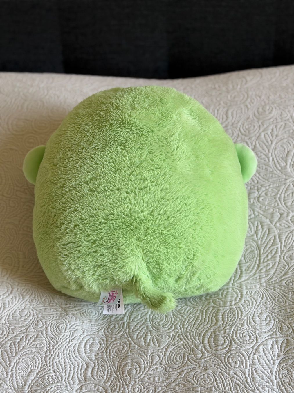 Bambole: Squishmallow – Usato da Bern venduto da Schoppy 1