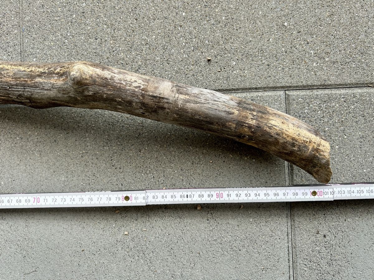 Articoli in legno: Schwemmholz Ast 102 cm lang – Nuovo (secondo la descrizione) da St. Urban venduto da uschi73 2