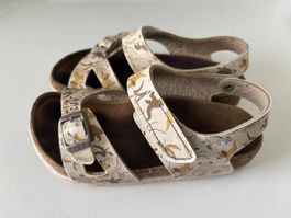 Birkenstock Sandale mit Dinos | Gr.28