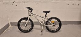 Early Rider 16"
