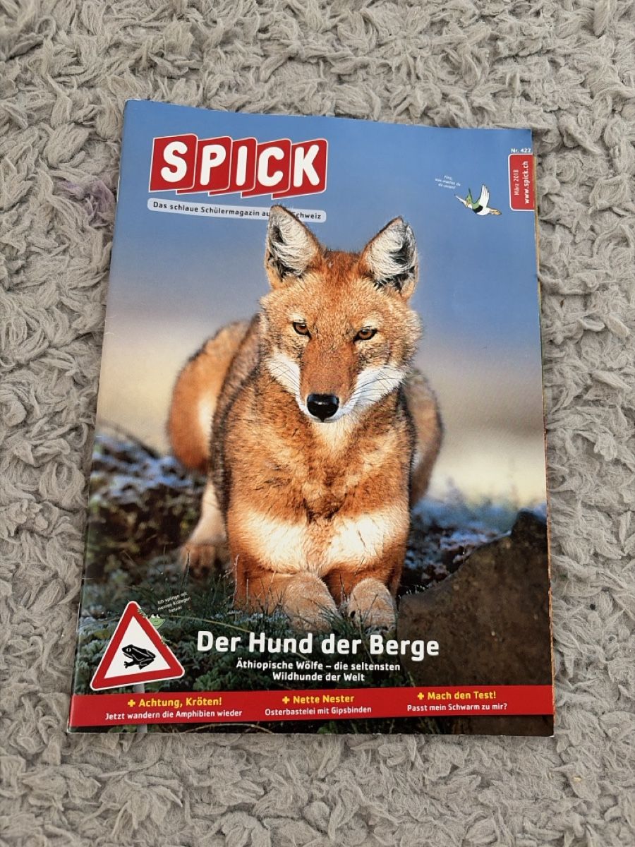 Riviste & Magazine: SPICK Kindern Magazin  – Usato da Seengen venduto da Choco03 4