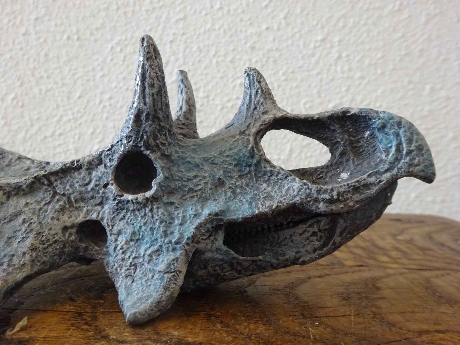 Fossili: Skulptur Saurier Schädel / Drachen – Usato da Esslingen venduto da eintagammeer 7