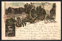 Litho Langnau am Albis, Gruss vom Wildpa