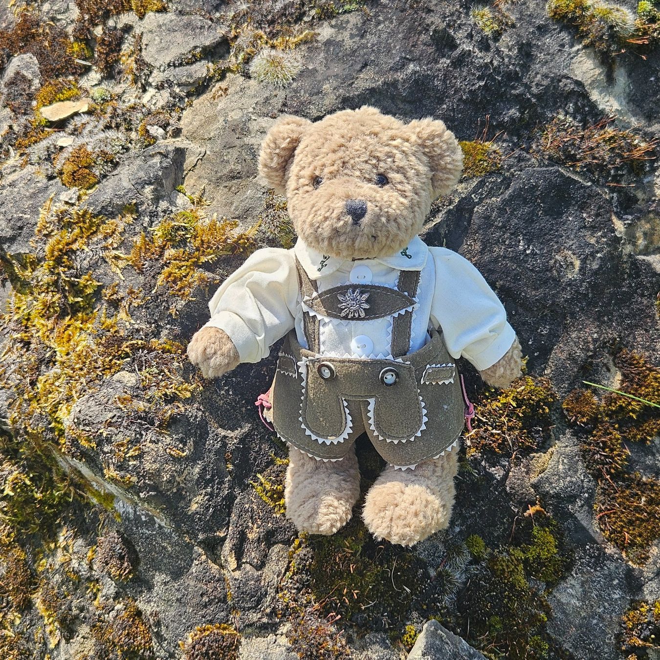 Giocattoli: Teddybär – Nuovo (secondo la descrizione) da Uster venduto da Sonnenblume212 2