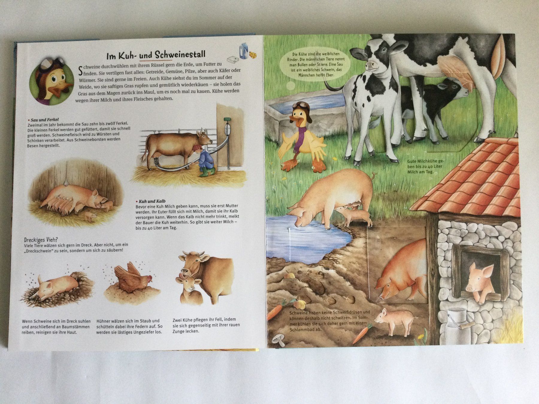 Libri: Buch Polo Propeller / der Bauernhof – Usato da Boppelsen venduto da KASIBO 1
